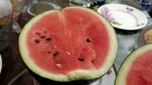 Супер сорт арбуза для Сибири!