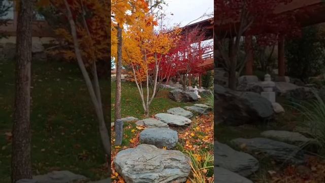 красота смотреть онлайн