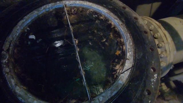 Кингстон - Sea Shest смотреть онлайн