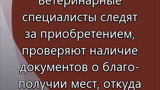 Видеозанятие 8. Профилактика инфекционных болезней смотреть онлайн