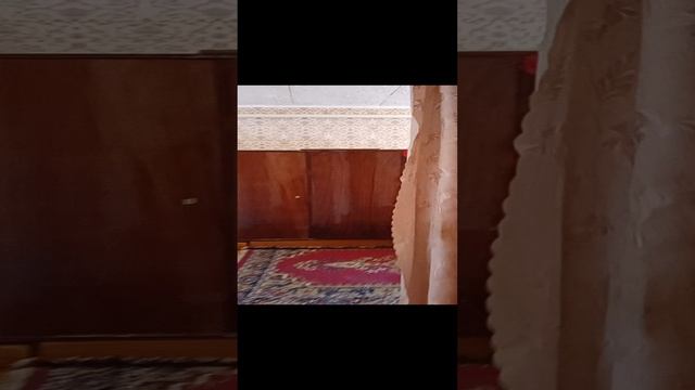 11034177 с. Верхняя Покровка Красногвардейского р-на Белгородской обл. (89102267717 Ирина Борисовна) смотреть онлайн