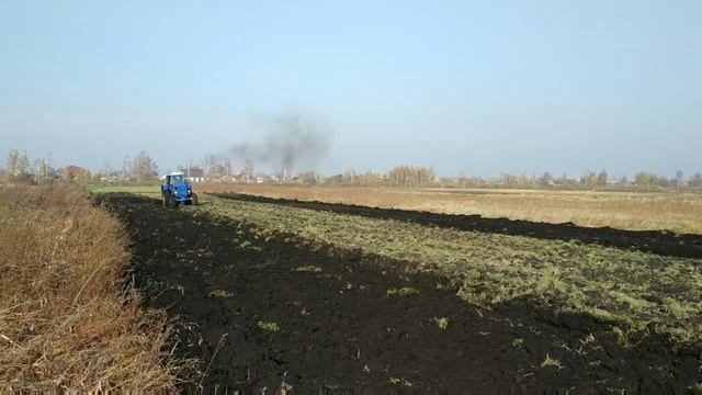 Трактор Т-40. Вспашка огорода 2-х корпусным плугом смотреть онлайн