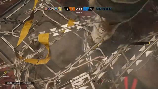 Stream  - Tom Clancy' S Rainbow Six Siege | Nikitos2007