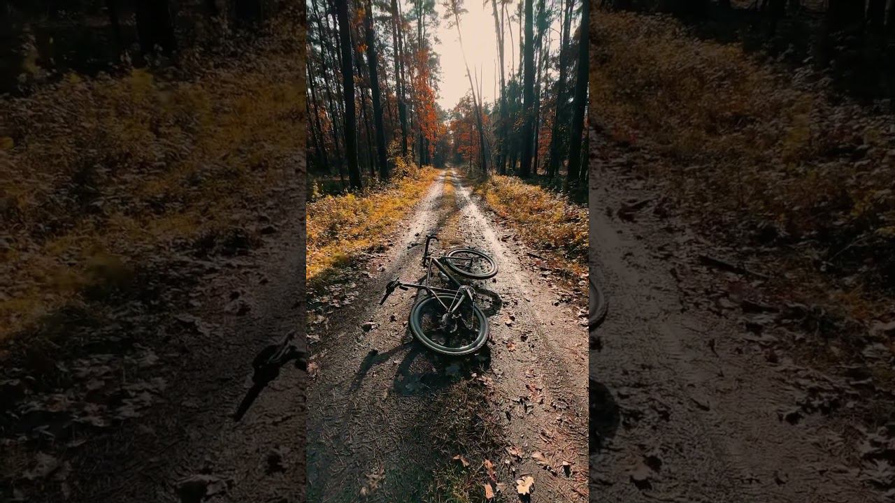 #велосипед #велоспорт #велопрогулка #велосипеды #байк #bike #cycling #cyclinglife #cyclingmotivation смотреть онлайн