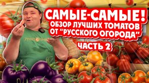САМЫЕ-САМЫЕ! Обзор Лучших томатов от «Русского Огорода» Часть2