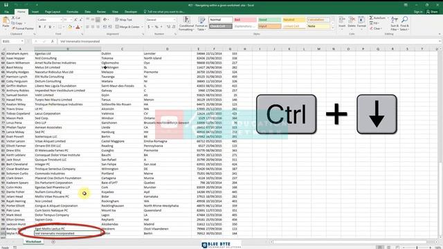 MS Excel Tutorial - 20 - Learning different techniques for navigating within a given worksheet смотреть онлайн