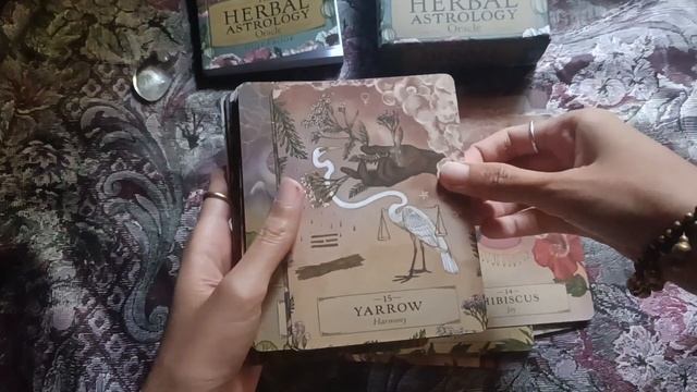 The Herbal Astrology Oracle Unboxing video смотреть онлайн