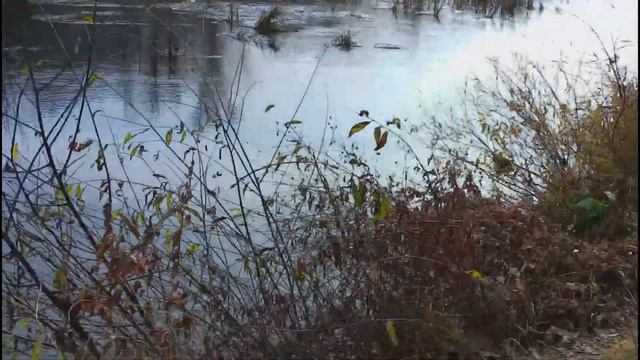 что стало с рекой САЛМЫШ смотреть онлайн