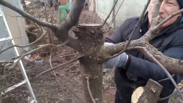 ЖИЗНЬ В СТАНИЦЕ. ДЛЯ НАС ЭТО НОВО! ДЕТИ ПРИЕЗЖАЛИ НА ОБЕД смотреть онлайн