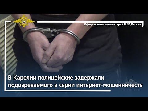 Ирина Волк: В Карелии полицейские задержали подозреваемого в серии интернет-мошенничеств смотреть онлайн