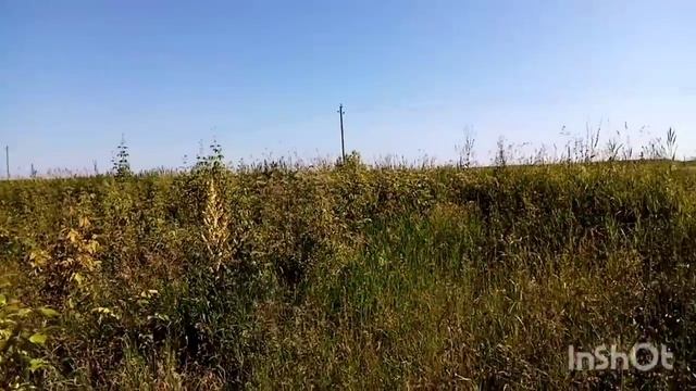 ХОРОШИЙ МЕТАЛЛ НА ОБОЧИНЕ ДОРОГ. смотреть онлайн