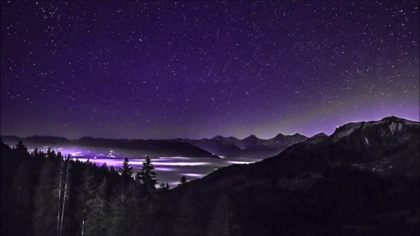 Dima Dark-Forest видео ролик (7.04.2023)