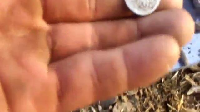 Коп Серебра!!!Она ждала меня 400 лет смотреть онлайн