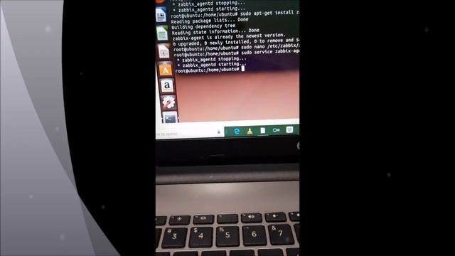 shubham1462925 смотреть онлайн