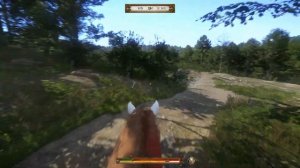 71 Куда не кинь всюду клин - Братья по виселице Kingdom Come Deliverance Дополнительное задание