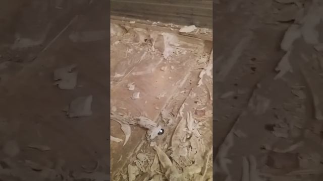 Ремонт пола полуприцепа кроне смотреть онлайн