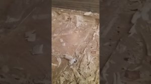 Ремонт пола полуприцепа кроне