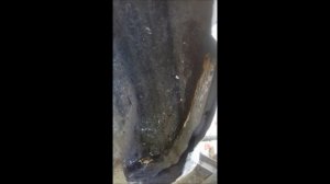 ремонт арок авто с помощью эпоксидной смолы