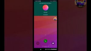 Обзор на WhatsMock