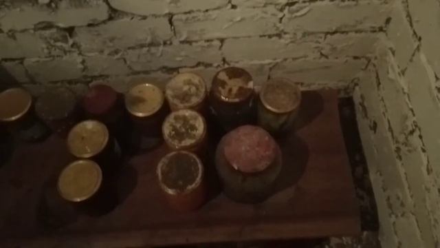 Я в погребе. Грибок. Мои запасы. смотреть онлайн