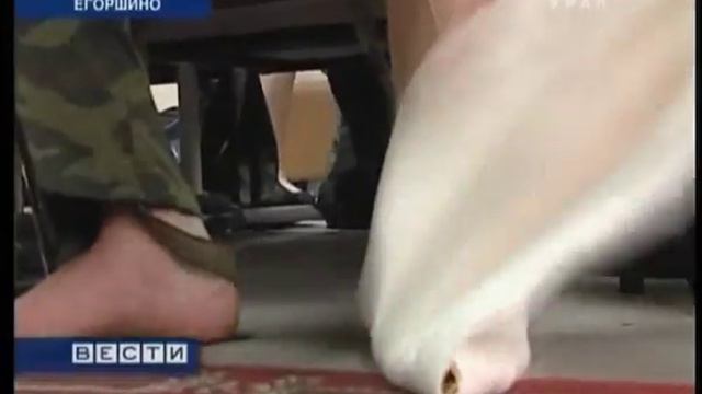 Стельки БЫКОВА для солдат Кремлевского полка смотреть онлайн