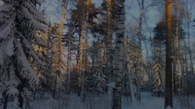 Академгородок -40С смотреть онлайн