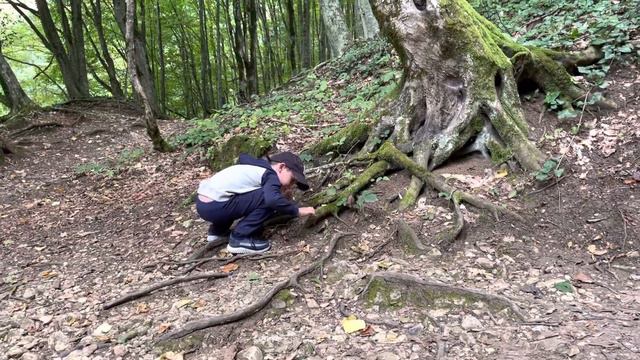 Водопад в горах Гуамское ущелье смотреть онлайн