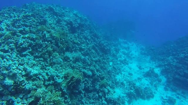 Наш отпуск с Алиной Египет, отель Caribbean World Soma Bay 5 смотреть онлайн