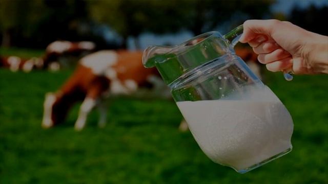 Как проверить свежесть продуктов смотреть онлайн