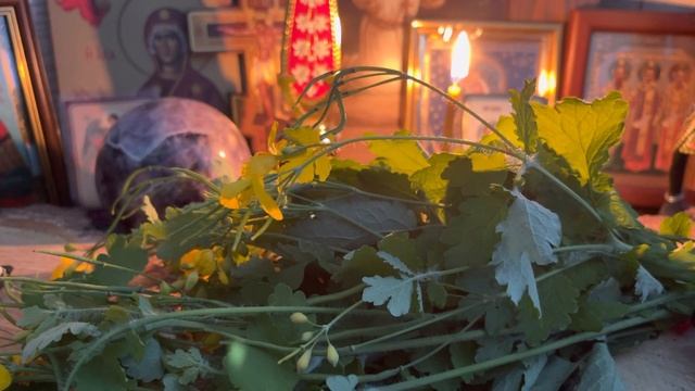 448. Сбор Чистотела и что с ним можно делать в магии !!! смотреть онлайн