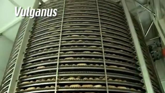 Leipurin Vulganus - Сleanline (батонная линия) смотреть онлайн