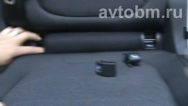 Бровистерия