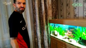 ДИСКУСЫ В АКВАРИУМЕ С ЖИВЫМИ РАСТЕНИЯМИ! ДОМАШНИЙ АКВАРИУМ  250 ЛИТРОВ!