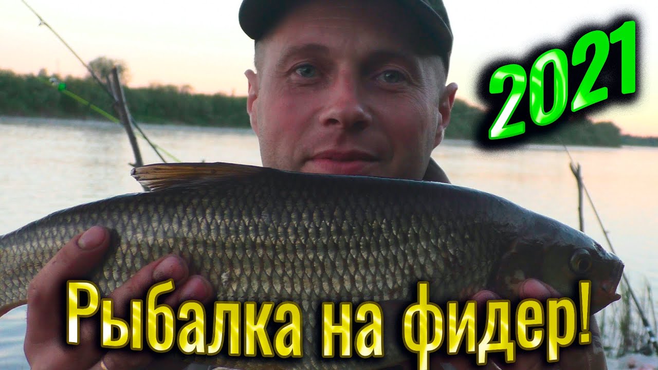 Рыбалка на фидер 2021.Республика Коми, река Ижма. Первый трофей на фидер язь!.Природа, отдых. смотреть онлайн