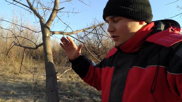 ОЧЕНЬ ПРОСТАЯ ЛОВУШКА ДЛЯ ПТИЦ | Как поймать птицу? смотреть онлайн