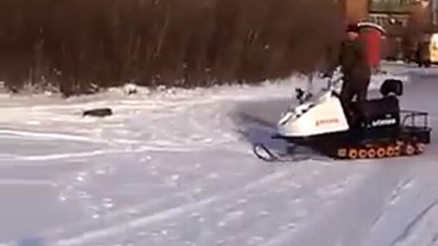 Коми Инта Бурлак