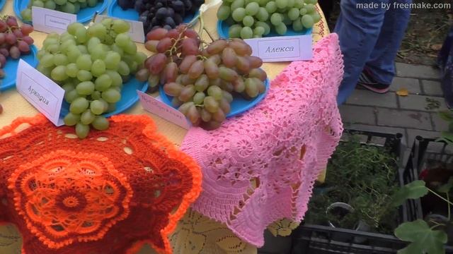 Участники выставки-ярмарки"Янтарная гроздь 2017г "г. Пинск. смотреть онлайн