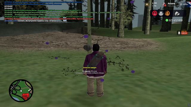 СОБИРАЮ "целый 1 час" НОВЫЕ ПЛОДЫ ДЛЯ КРАФТА ЭЛИКСИРОВ на ARIZONA RP смотреть онлайн