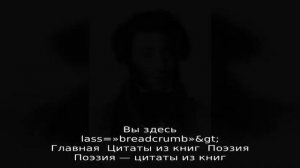 Основные понятия системы стихосложения. виды строф в лирике
