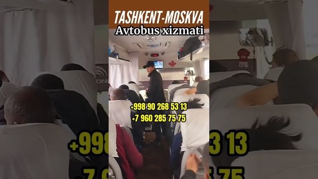Ташкент Москва автобус Ташкент Краснодар автобус Узбекистан Россия автобус Ташкент Красноярск смотреть онлайн