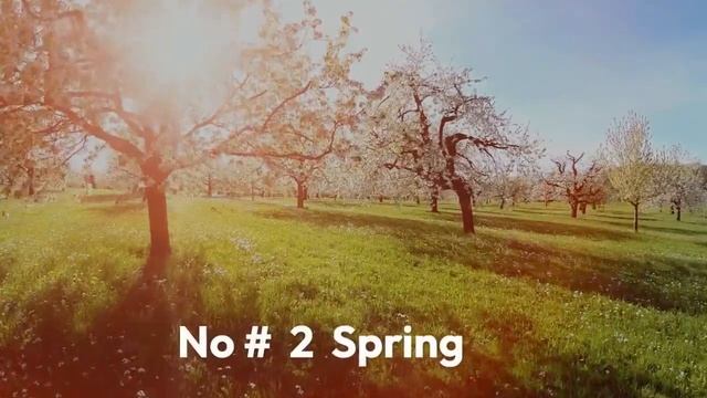 Discover your true nature through your favorite season! : Personality test смотреть онлайн