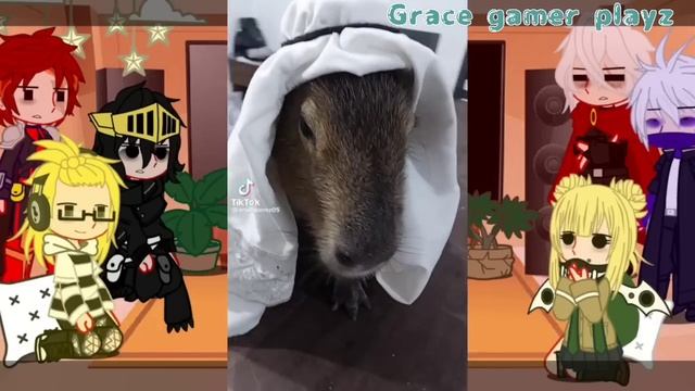 Pro Heroes & Villain React To My FYP on TikTok || MHA/BNHA || Grace Gamer Playz смотреть онлайн