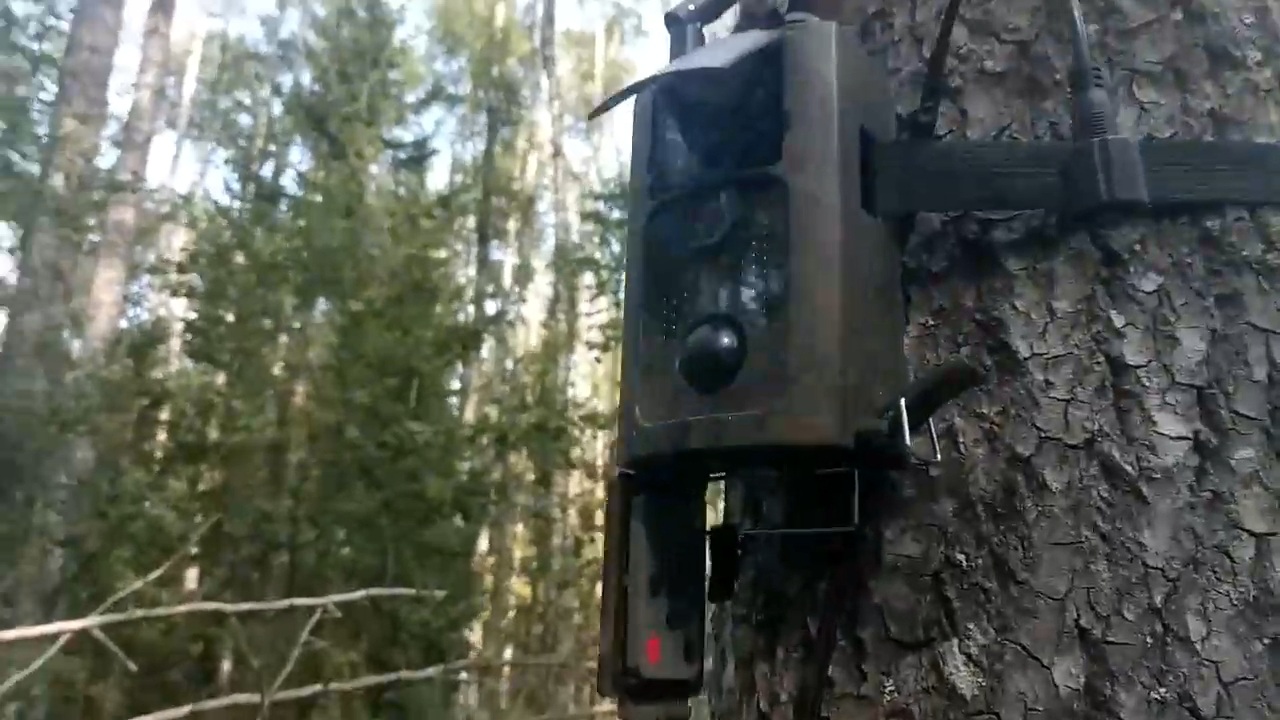 Фотоловушка - Подключаем мощный гелевый аккумулятор и став... смотреть онлайн