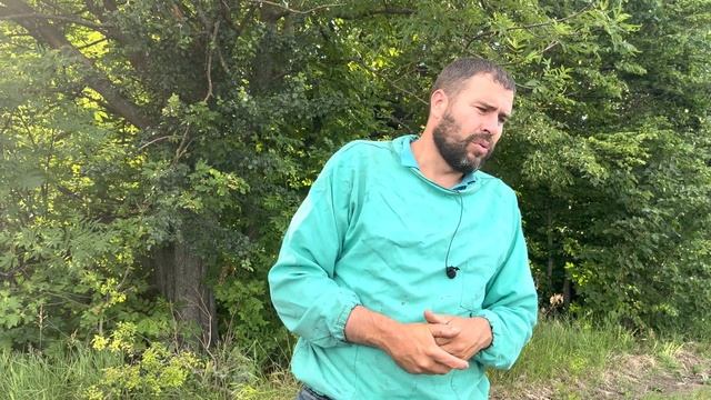 Гречиха зацветает смотреть онлайн