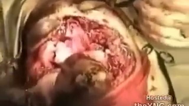 3010050cb8 240 смотреть онлайн