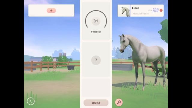 [Equestrian The Game] Horse Shopping Spree! Breeding On My Second Account + Foal Reveal! [ETG] смотреть онлайн
