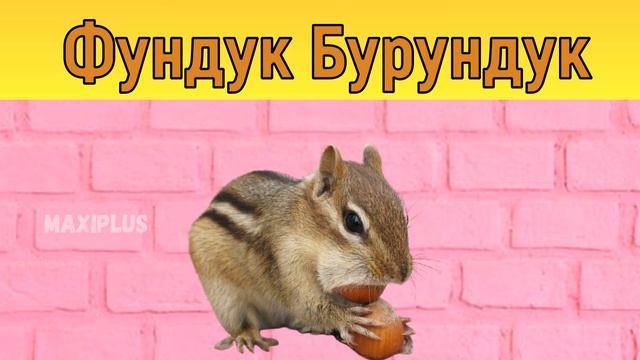 Колено Полено, Кот Вертолёт, Сазан Барабан, Фундук Бурундук. смотреть онлайн