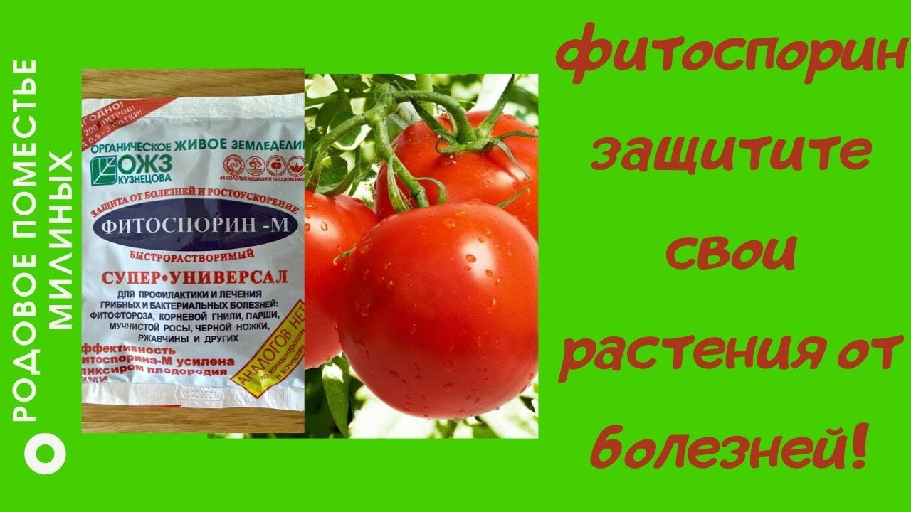 Фитоспорин-М - отличное средство для защиты растений от болезней.