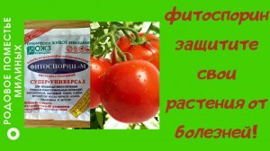 Фитоспорин-М - отличное средство для защиты растений от болезней.
