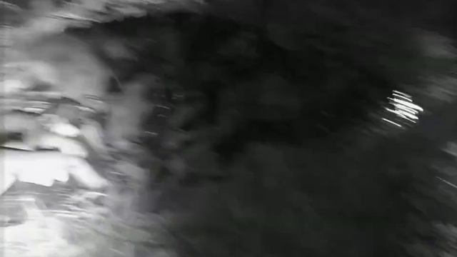 Лесной Бог смотреть онлайн